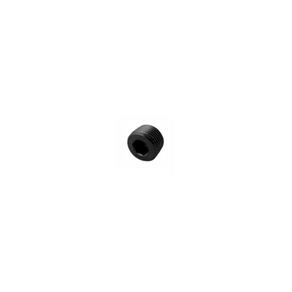 Squirrelly Performance NPT Plug (Internal Hex/Allen) | 1/4NPT | Black